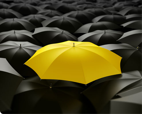 slideshow-img-website